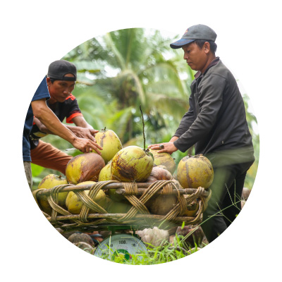 Petani kelapa Indonesia